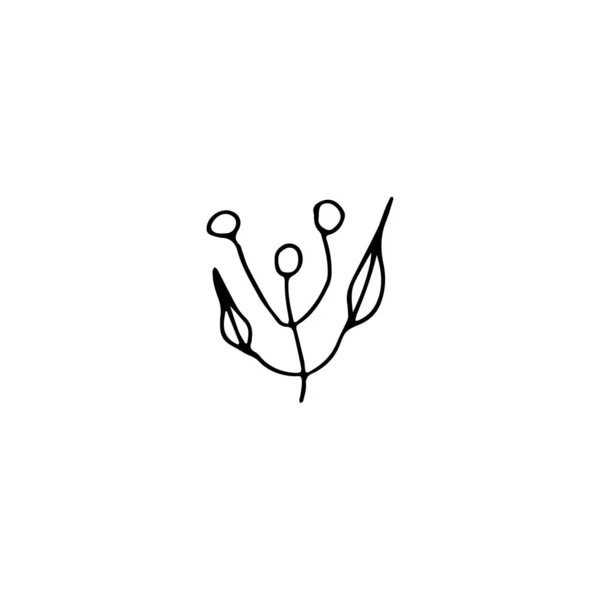 Elément Floral Gribouillé Dessiné Main Plante Abstraite Pour Décoration Illustration — Image vectorielle