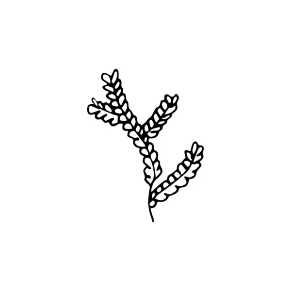 Elément Floral Gribouillé Dessiné Main Plante Abstraite Pour Décoration Illustration — Image vectorielle