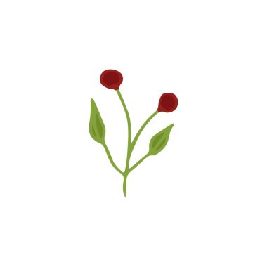 El çizimi karalama çiçek elementi, dekorasyon için renkli soyut bitki, izole vektör çizimi