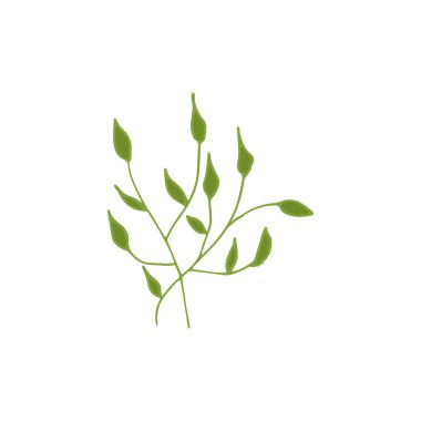 El çizimi karalama çiçek elementi, dekorasyon için renkli soyut bitki, izole vektör çizimi