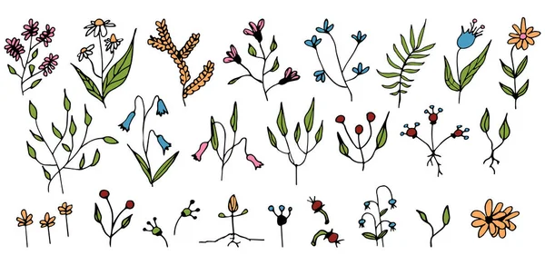 Handgetekende Doodle Set Van Kleurelementen Lente Zomer Abstracte Planten Bloemen — Stockvector