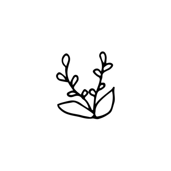 Ручной Рисунок Элемента Контура Пасхи Декоративного Растения — стоковый вектор