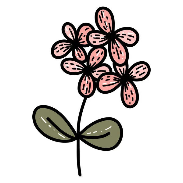 Illustration vectorielle plate isolée de fleurs sauvages de printemps. — Image vectorielle
