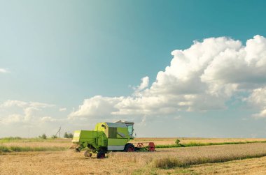 Bulutlu mavi gökyüzünün altında buğday tarlasında hasat.