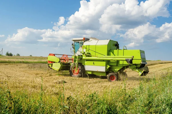 畑で収穫した小麦を組み合わせた農業 — ストック写真