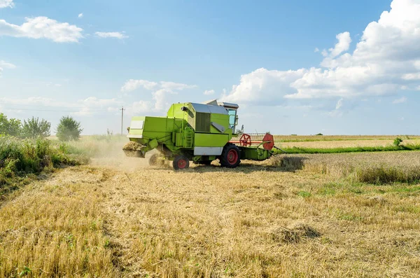 Una Mietitrebbia Agricola Raccoglie Grano Campo — Foto Stock