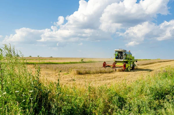 雲のある青空の下の小麦畑で収穫 — ストック写真