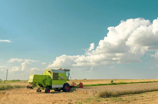 Skördare Vetefält Blå Himmel Med Moln — Stockfoto