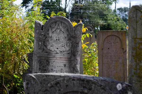 Sonbaharda Eski Yahudi Mezarlığı Çimenlerdeki Mezar Taşları Ternopil Ukrayna — Stok fotoğraf