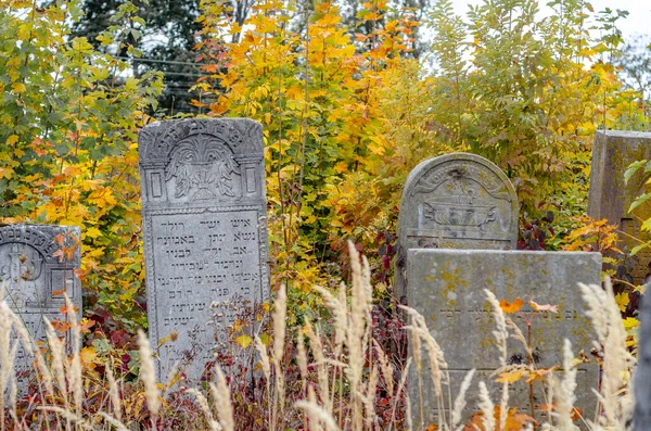 Stary Cmentarz Żydowski Jesienią Nagrobki Suchej Trawie Tarnopol Ukraina — Zdjęcie stockowe