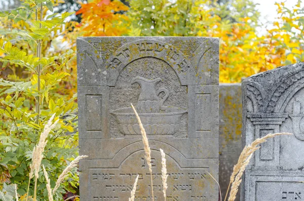 Stara Macewa Cmentarza Żydowskiego Tarnopolu Ukraina — Zdjęcie stockowe