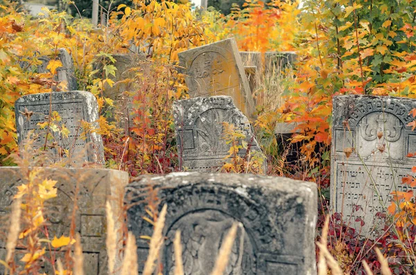 Sonbaharda Eski Yahudi Mezarlığı Çimenlerdeki Mezar Taşları Ternopil Ukrayna — Stok fotoğraf