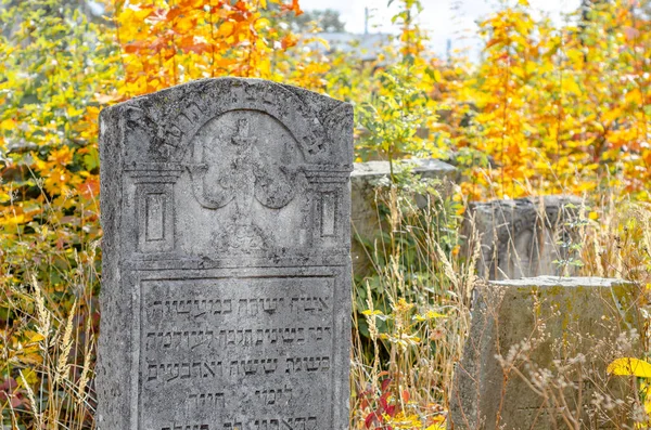 Sonbaharda Eski Yahudi Mezarlığı Çimenlerdeki Mezar Taşları Ternopil Ukrayna — Stok fotoğraf