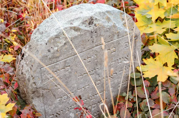 Old Jewish Cemetery Autumn Tombstones Dry Grass Ternopil Ukraine — Stock Photo, Image