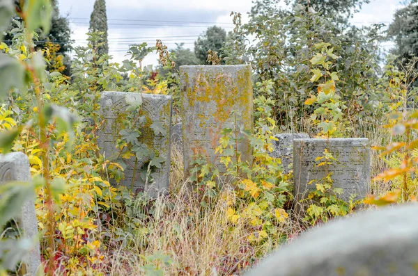 Gamla Judiska Kyrkogården Hösten Gravstenar Torrt Gräs Ternopil Ukraina — Stockfoto