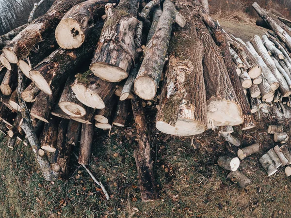 Horní Pohled Hromadu Řeziva Odlesňování Tenký Les — Stock fotografie