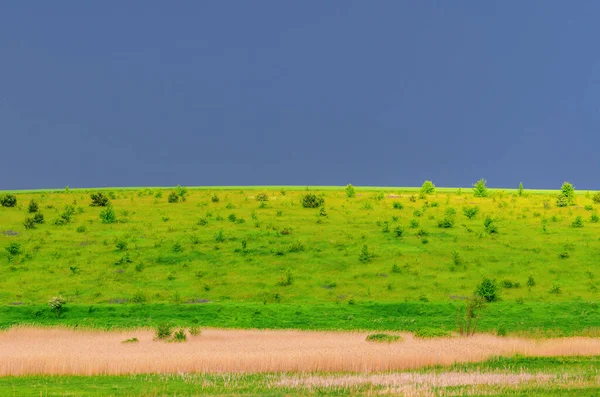 Bela Paisagem Campo Verde Antes Tempestade Céu Azul Escuro Vegetação — Fotografia de Stock