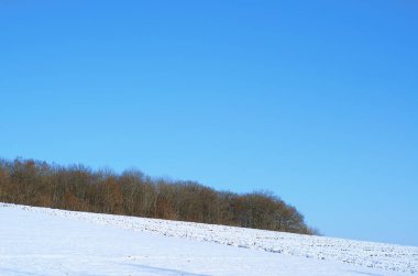 Mavi gökyüzü ve karlı arazinin arka planında kış ormanı. Kış ekran koruyucu.