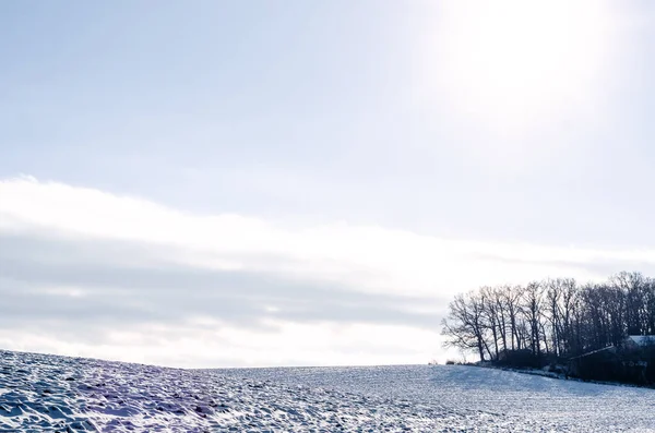 Märchenhafte Winterlandschaft Schneefeld Unter Blauem Himmel Blattlose Bäume Saisonkonzept — Stockfoto