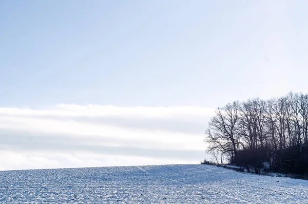 Märchenhafte Winterlandschaft Schneefeld Unter Blauem Himmel Blattlose Bäume Saisonkonzept — Stockfoto