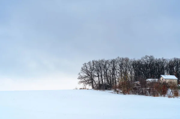 Wintertag Auf Dem Feld Schneeklares Feld Unter Grauem Himmel Wald — Stockfoto