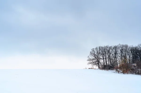 冬日在田野里灰蒙蒙的天空下雪地清澈 地平线上没有树叶的森林 — 图库照片
