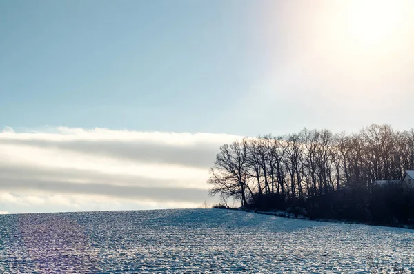 Märchenhafte Winterlandschaft Schneefeld Unter Blauem Himmel Blattlose Bäume Saisonkonzept — Stockfoto