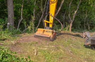 Çevreyi geliştiriyorum. Mulcher. Dalların ve yabani otların işlenmesi.