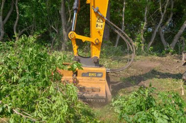 Çevreyi geliştiriyorum. Mulcher. Dalların ve yabani otların işlenmesi.