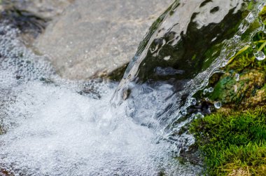 Saf kaynak suyu akışı. Şeffaf dere, kabarcıklar, yeşil ıslak yosun..
