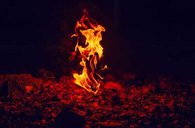Sonbahar yapraklarıyla kaplı taştan yükselen yanan ateşin kırmızı alevi..