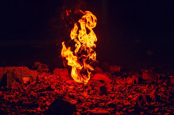 Sonbahar yapraklarıyla kaplı taştan yükselen yanan ateşin kırmızı alevi..