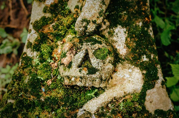 Stone Statue Overgrown Moss Stone Skull Blurred Background — Stock Photo, Image