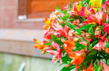 Çiçekli tebrik kartı. Parlak çiçeklerin şenlikli buketi. Astromerya.