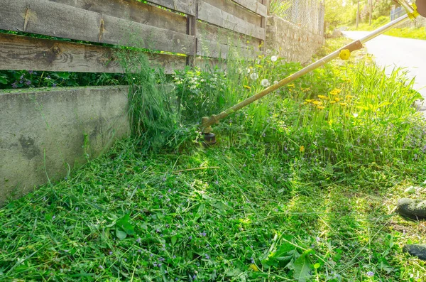 stock image Cordless garden trimmer mows the grass near fence