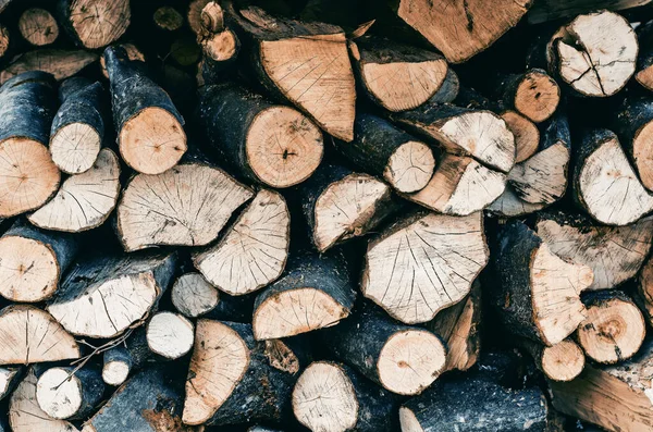Firewood Stacked Pile Chopped Firewood Cold Hard Winter War Ukraine — Stock fotografie