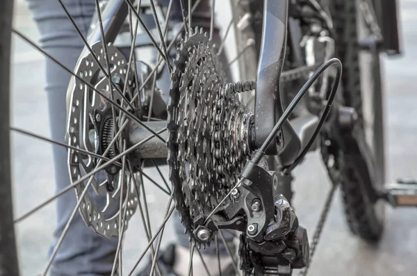 Rear Wheel Bicycle Gear Sprockets Wheel —  Fotos de Stock