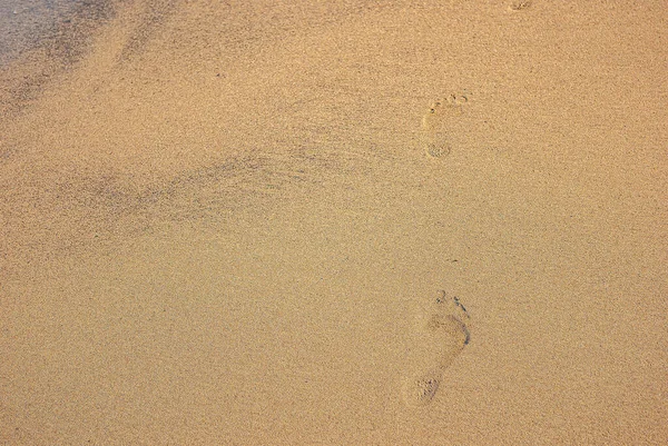 Human footprints walking along coast. Clear traces of bare human feet on sand.