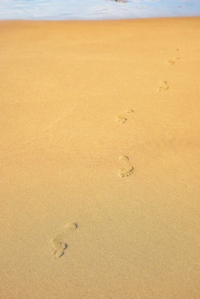 Clear traces of bare human feet on sand. Human footprints emerging from sea.