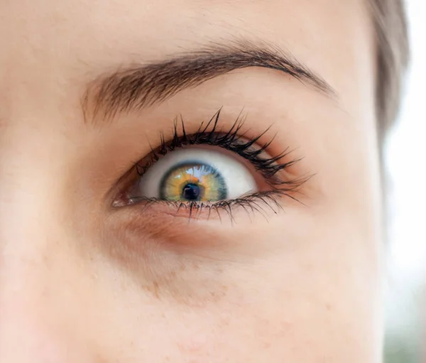 Netter Blick Die Kamera Nahaufnahme Aus Den Augen Einer Frau — Stockfoto