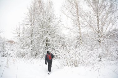 Bir adam kışın karlı ormanlarda yürüyor. Büyük bir kar yağışı sonrası karla kaplı beyaz ağaçlar..