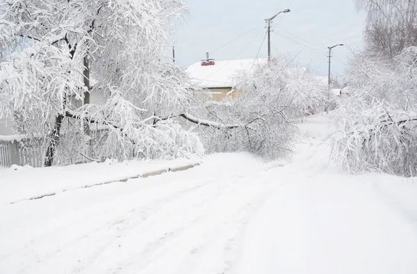 Winter Road Country Town Heavy Snow Storm Broken Damaged Trees — Foto Stock