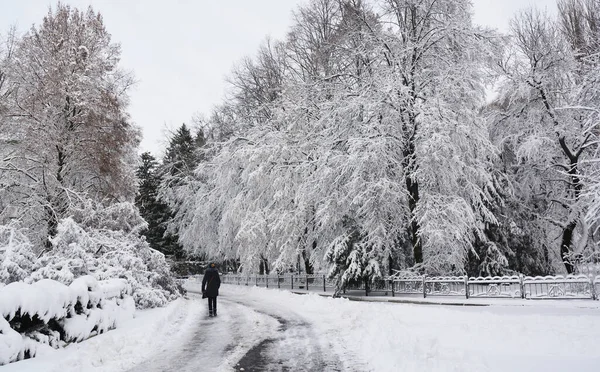 Snowy Frosty Weather Silhouette Woman Walking White Snow Covered Road — Stockfoto