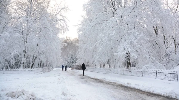 Small Town Heavy Snow White Trees Covered Snow People Walking — Foto Stock