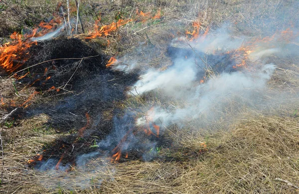 Lente Droog Gras Brandgevaar Het Verbranden Van Gras Gazonvilt Verandert — Stockfoto