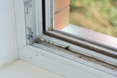 A dirty uPVC window frame that needs to get cleaned. A view from inside the house of a dusty window. 