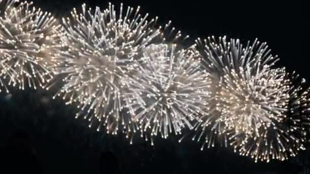 Explosions lumineuses de feux d'artifice multicolores dans le ciel nocturne — Video