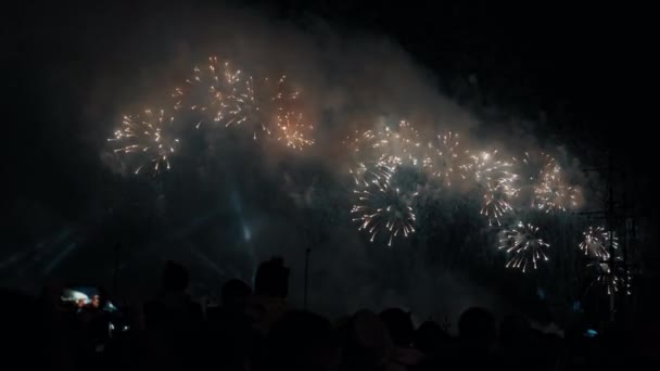 Ljusa explosioner av flerfärgade fyrverkerier på natthimlen — Stockvideo