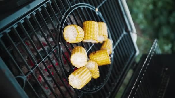 Le pannocchie di mais sono arrostite sulla griglia di una griglia all'aperto — Video Stock