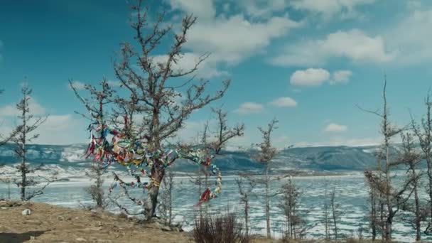 Madera con cintas multicolores de tela. Lugar religioso en el lago Baikal — Vídeo de stock